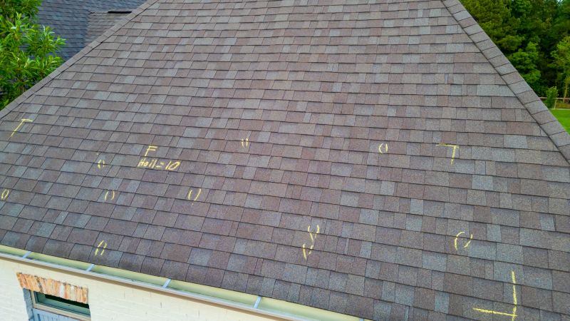 Asphalt Roof Inspection in Allen, MD