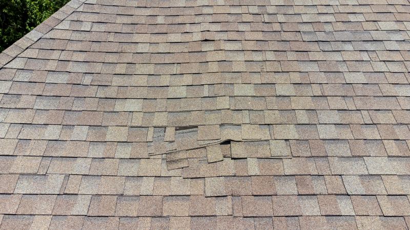 Asphalt Roof Inspection in Deal Island, MD