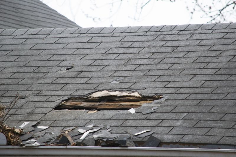 Asphalt Roof Leak Repair in Harbeson, DE