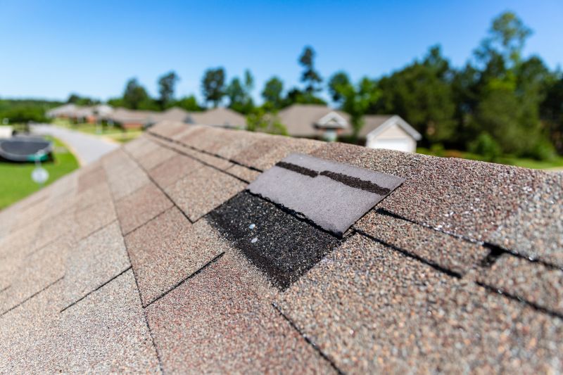 Asphalt Roof Leak Repair in Laurel, DE