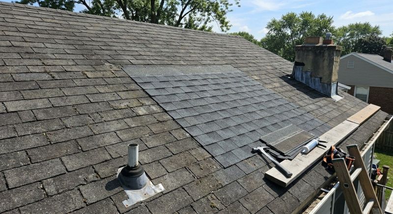 Asphalt Roof Repair in Delmar, DE
