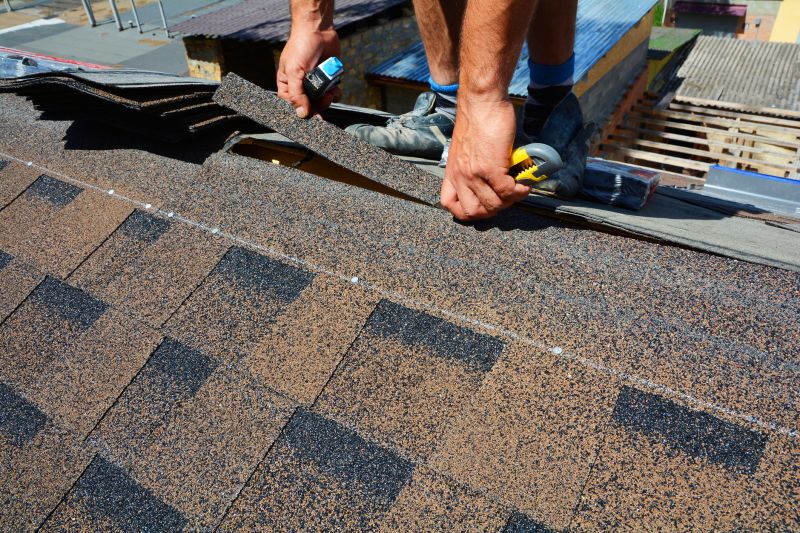 Asphalt Roof Repair in Harbeson, DE