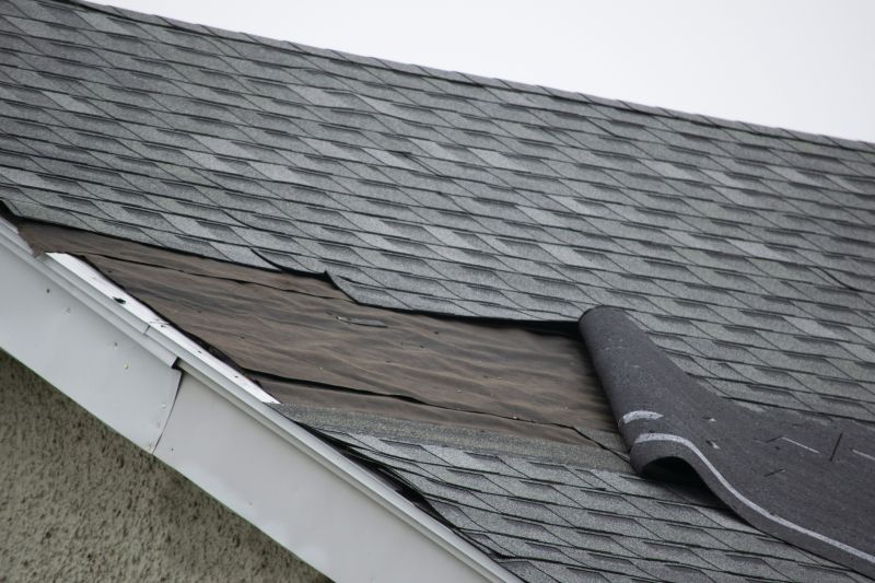 Asphalt Shingles Repair in Milton, DE