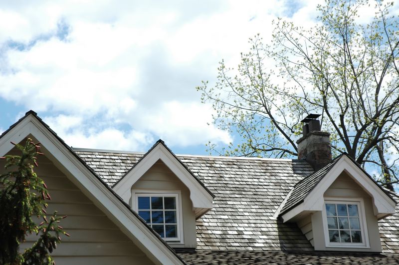 Cedar Roof Installation in Ellendale, DE