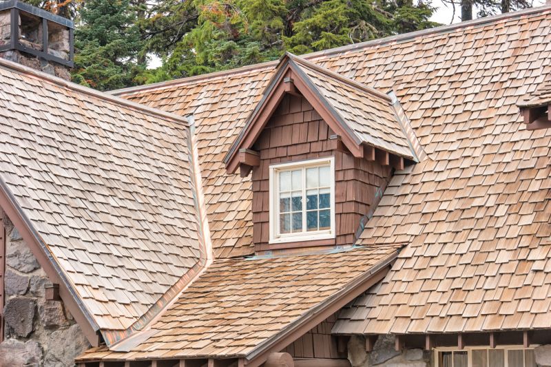 Cedar Shake Roof Repair in Dagsboro, DE