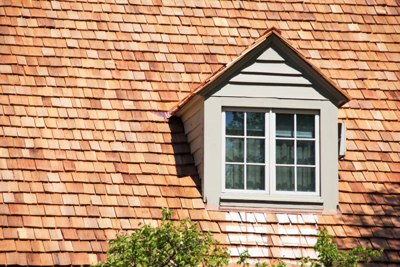 Cedar Shake Roof Repair in Lewes, DE