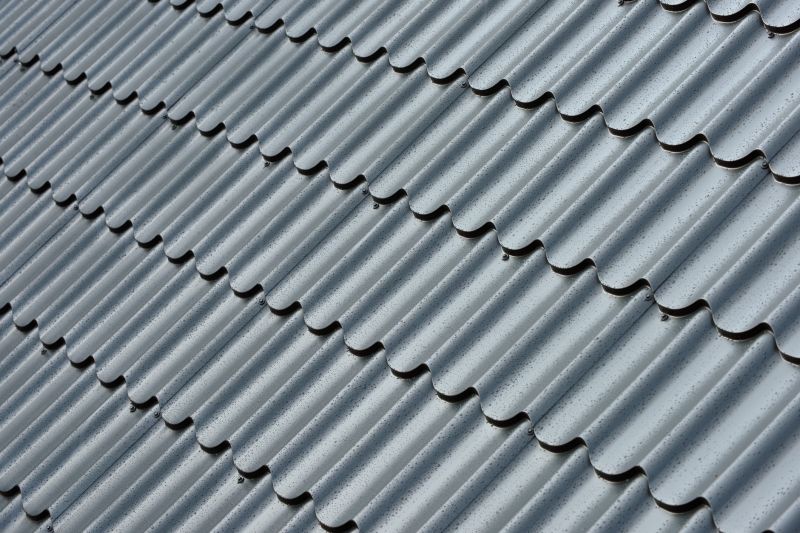 Corrugated Roof Repair in Allen, MD