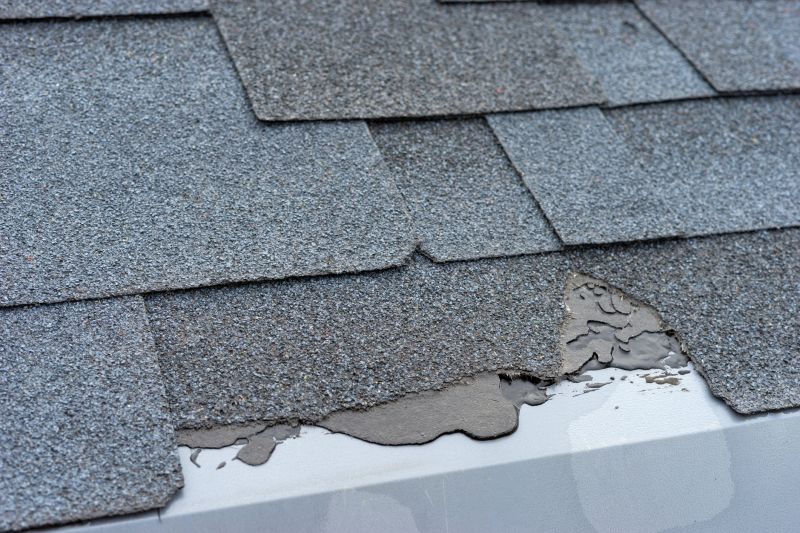 Damaged Roof Repair in Denton, MD
