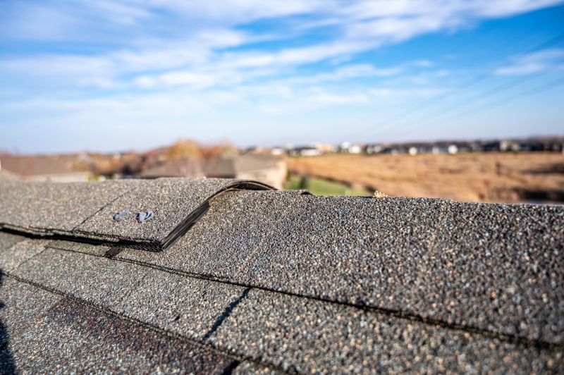 Damaged Roof Repair in Lewes, DE