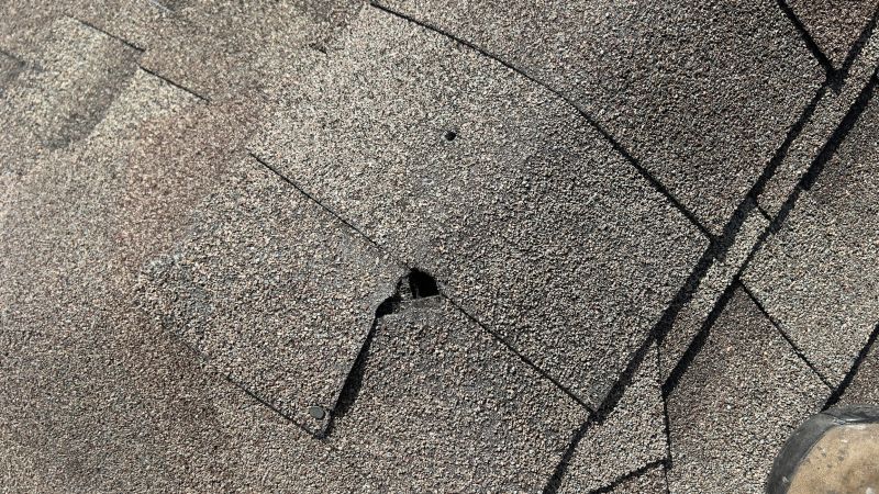 Damaged Roof Repair in Millsboro, DE
