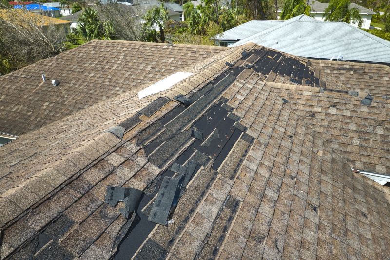 Damaged Roof Replacement in Frankford, DE