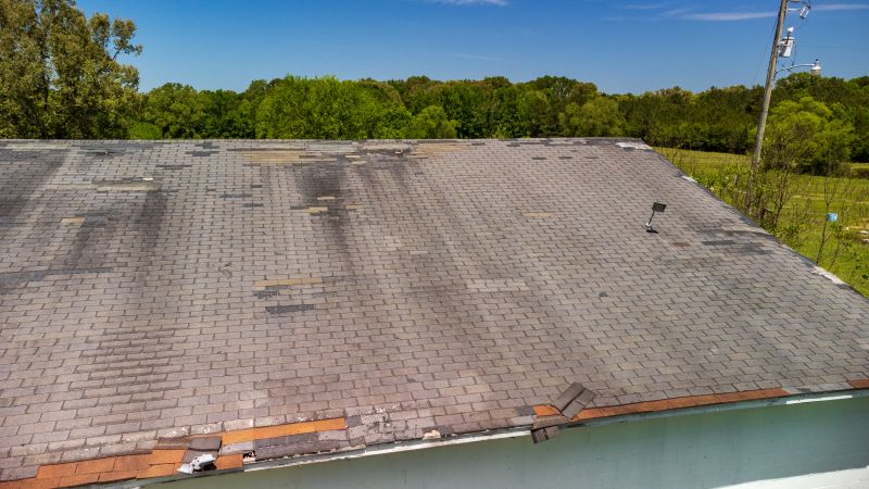 Hail Damage Roof Repair in Milton, DE