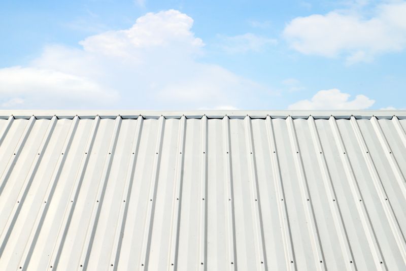 Metal Roof Coating Installation in Sussex County, DE
