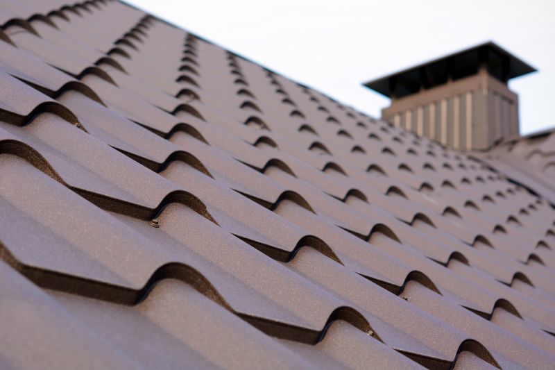 Metal Roof Repair in Houston, DE
