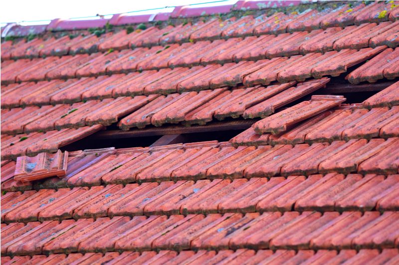Roof Damage Inspection in Salisbury, MD