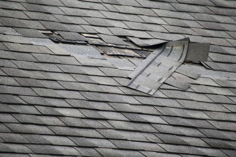 Roof Hail Damage Repair in Sussex County, DE
