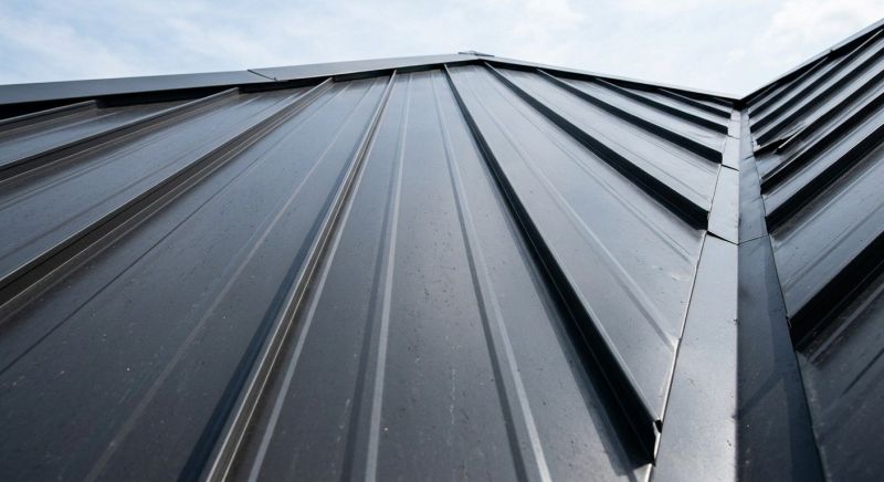 Roof Panel Repair in Sussex County, DE