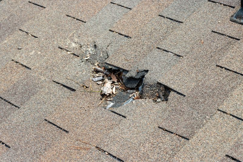 Roof Shingles Replacement in Lewes, DE