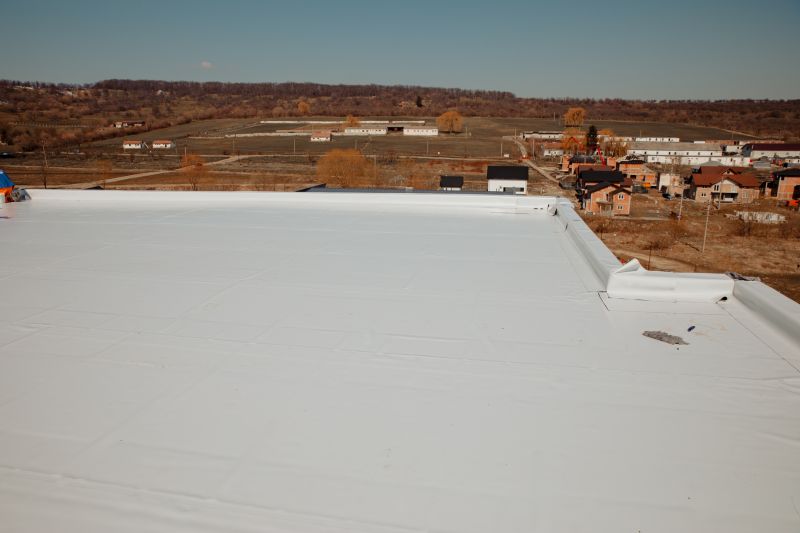 Rubber Roof Repair in Allen, MD