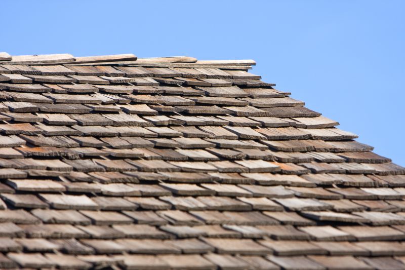 Shake Roof Replacement in Ellendale, DE
