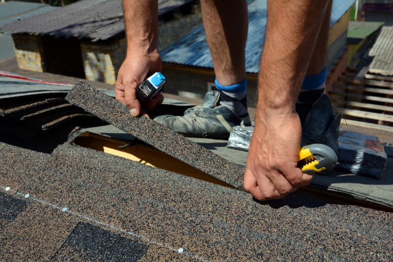Shingles Repair in Allen, MD