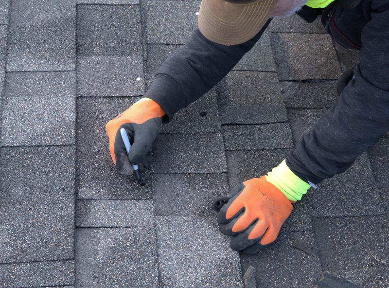 Shingles Repair in Denton, MD