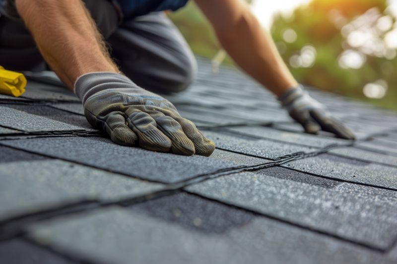 Shingles Repair in Frankford, DE
