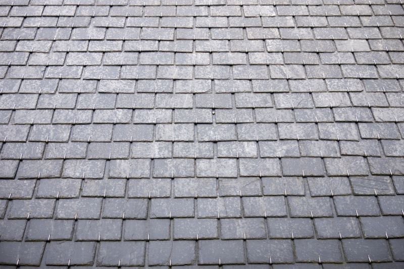 Slate Roof Inspection in Sussex County, DE