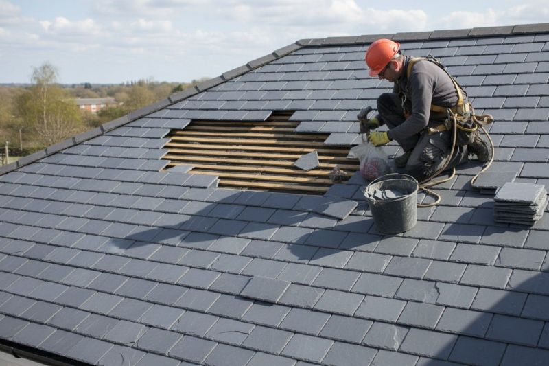 Slate Roof Repair in Dagsboro, DE