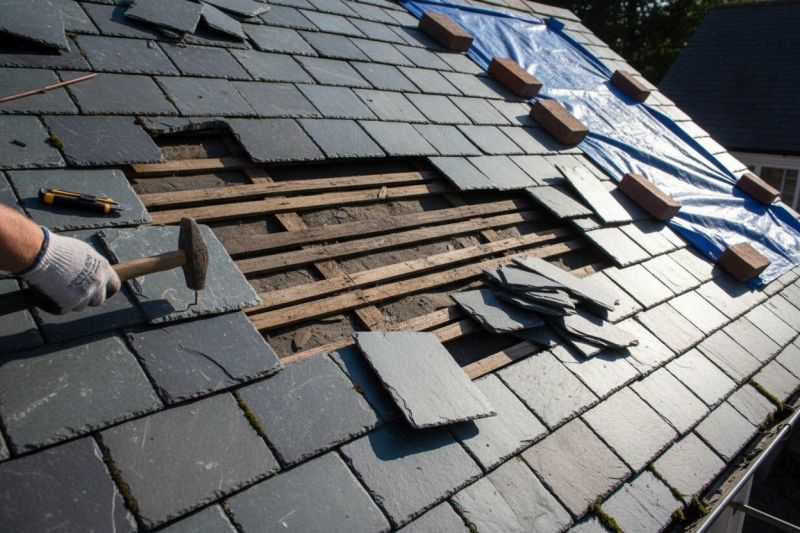 Slate Shingles Repair in Ellendale, DE