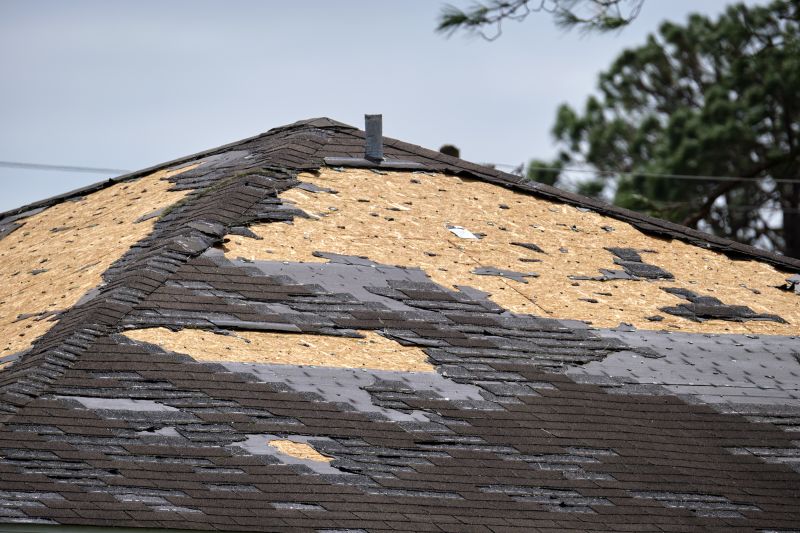 Storm Damage Roof Repair in Deal Island, MD