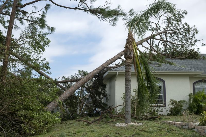 Storm Damage Roof Repair in Delmar, DE