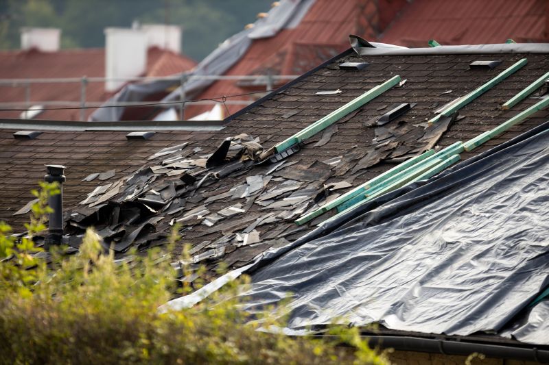 Storm Damage Roof Tarping in Sussex County, DE