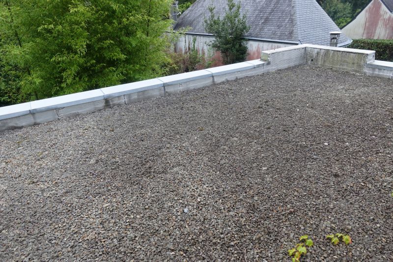 Tar And Gravel Roof Repair in Denton, MD