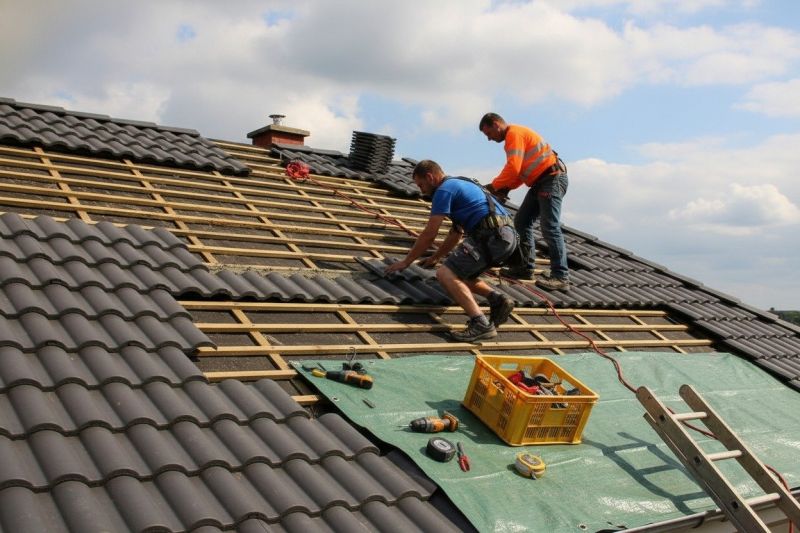 Tar Roof Repair in Delmar, DE
