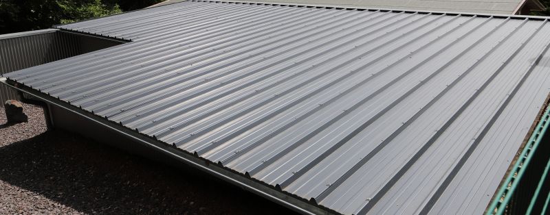 Tin Roof Installation in Allen, MD