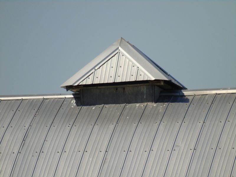 Tin Roof Installation in Greenwood, DE