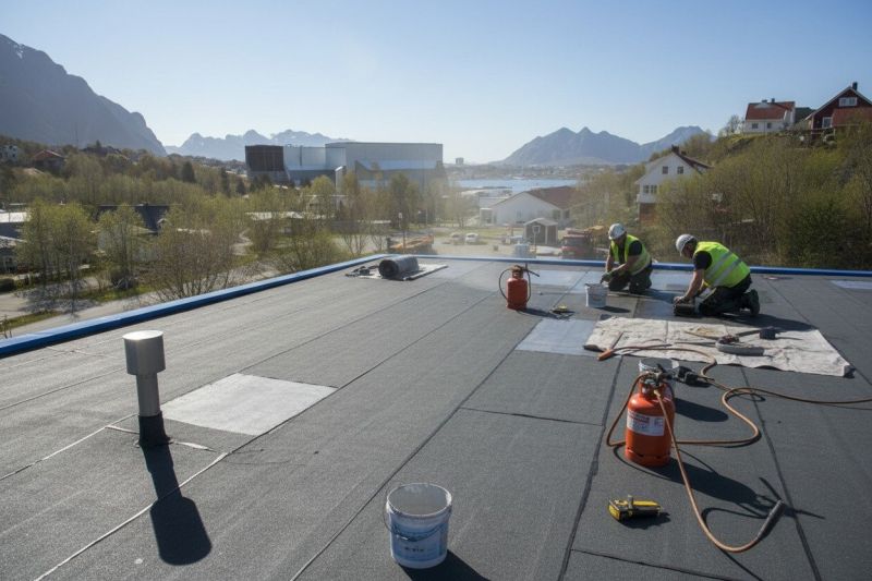 Tpo Roof Replacement in Houston, DE