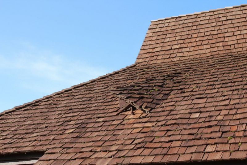 Wood Shake Roof Replacement in Frankford, DE