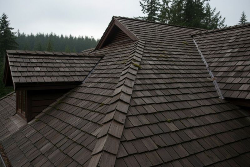 Wood Shake Roof Replacement in Sussex County, DE